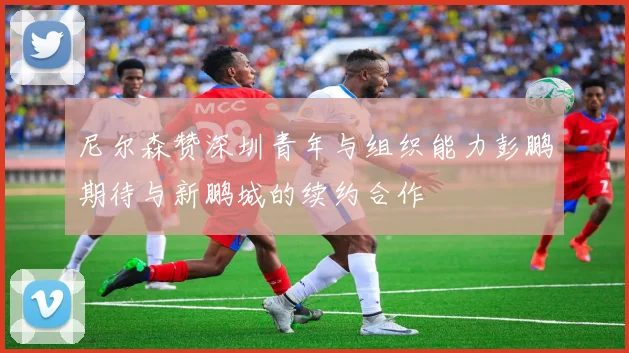 尼尔森赞深圳青年与组织能力彭鹏期待与新鹏城的续约合作